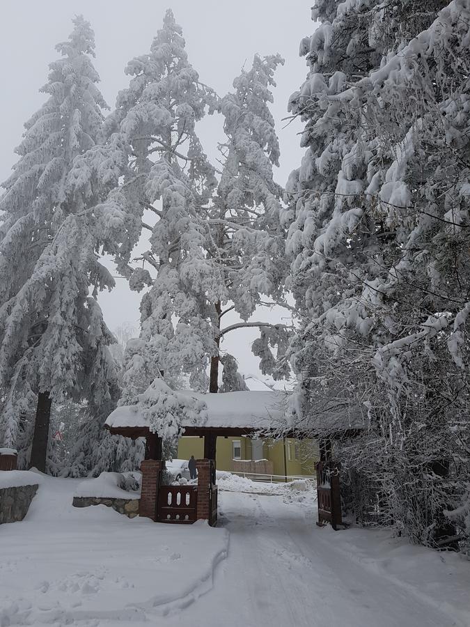 Apartment Joksimovic Zlatibor Dış mekan fotoğraf